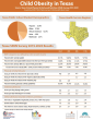 Thumbnail image 1 for 2019-2020 Texas SPAN Survey Overview